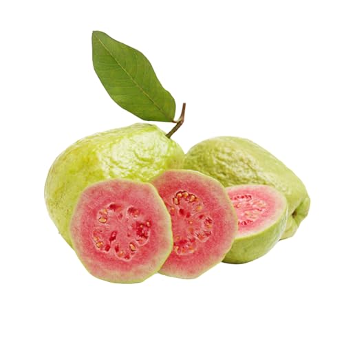 Muda Frutífera de Goiaba Vermelha