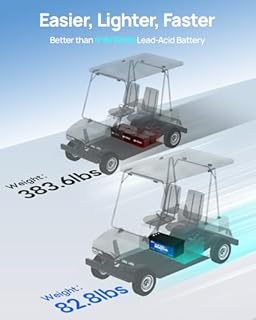 DC HOUSE 48V 100Ah Lithium Golf Cart Battery w/Switch, Lifepo4 Battery with 48V 18A Lithium Batteries Charger, Smart 200A BMS, LCD Monitor & Mobile APP, Peak Current 700A (ABS Case)