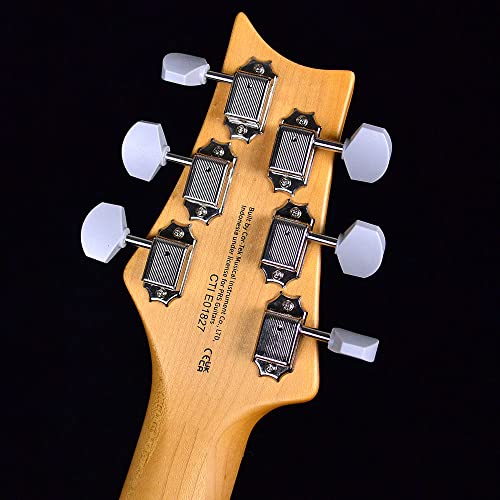 PRS SE Silver Sky Ever Green - Les Beatles, Paul McCartney, John Lennon, RIngo Starr, George Harrison PRS SE Silver Sky Ever Green – Image 6