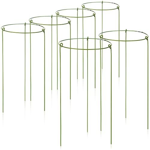 COM-FOUR® 6X Soporte para Flores y perennes Redondo - Soporte de arbusto para Flores, zarcillos y Plantas - Ø 14cm, 28cm