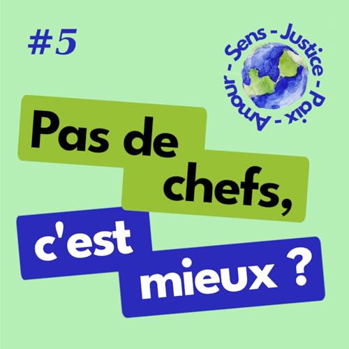 #5 Les organisations horizontales sont-elles un gage de bon fonctionnement ?