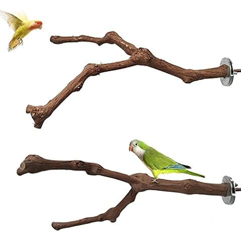 Perchas Naturales para Pájaros Kalsey Cover