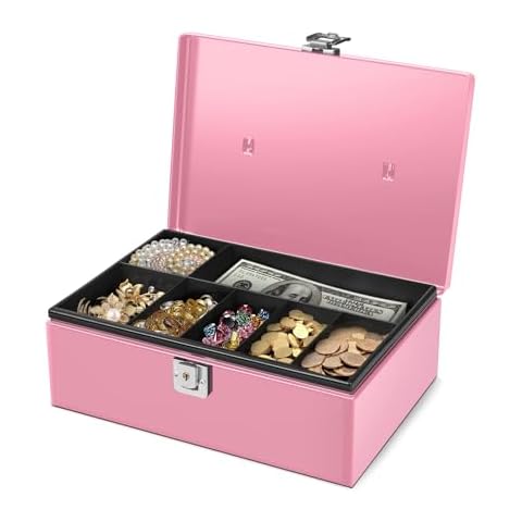 Flexzion Pink Cash Box with Lock Cover