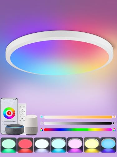 Litglobe Lampara Techo Inteligente 28W,Lampara LED Techo Regulable con Mando a Distancia y Control APP,Plafon LED Techo Compatible con Alexa y Google Home,Ø28cm Lamparas Techo Salón Dormitorio Cocina