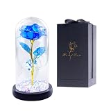Handsam Glass Rose Flower Gift for Women-Blue Artificial Flower Rose in Glass Dome with Adjustable L