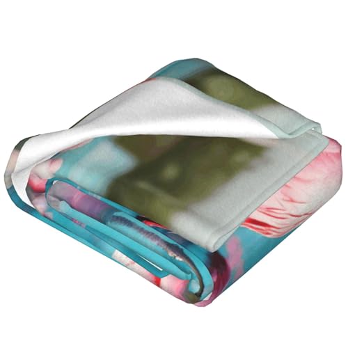 Couverture polaire légère de flanelle pour cocooning sur canapé et lit