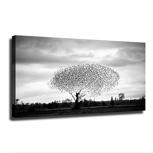 Black and White Photography Art Birds In The Sky Canvas Poster Canvas Painting Wall Art Hanging Picture Gift Bedroom Home Aesthetic Decoration (Framed,20×40inch)