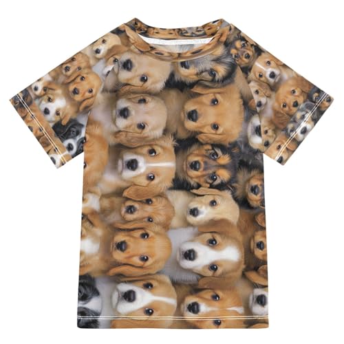 Boys Short Sleeve T-Shirts Cute Dog Real Rashguard Kids Swim Shirts Sun UPF 50+ Multicoloured