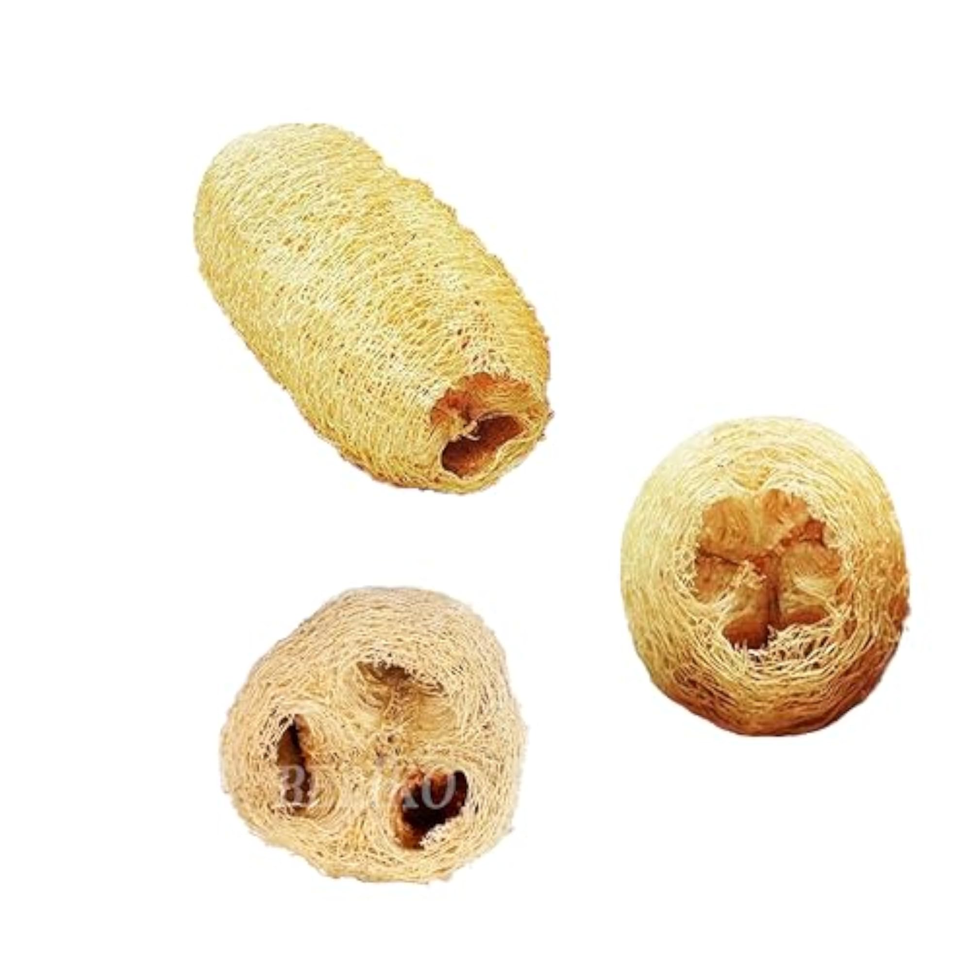 Organic Luffa Sponge Body Scrubber, 4 Piece Set