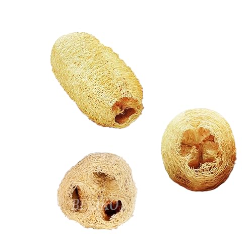 Image of Natural Loofah Sponge Body Scrubber 1 Piece - Luffa Bath scrub is Body Cleansing Removing Dead Skin Cells and Revitalizing Softer New Skin - Peerkangai Naar (Big Size)