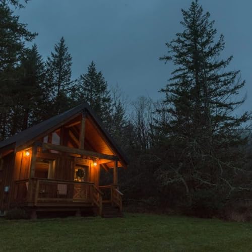 『The Cabin And The Bigfoot | Where Bigfoot Roams』のカバーアート