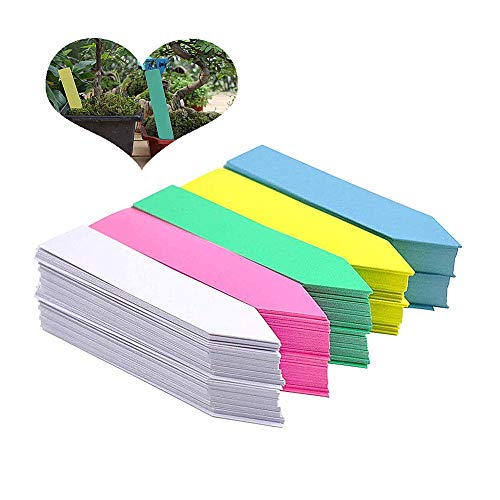 ZUOLUO Plant Markers Multiple Sizes Plant Labels Plant Labels for Herbs Re-Usable Plastic Plant Thick Plant Labels Plant Labels for Potted random color,1.97inch