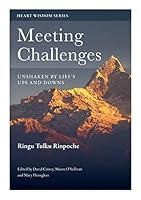 Meeting Challenges: Unshaken by Life's Ups and Downs 0995734321 Book Cover