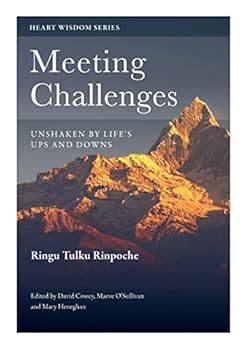 Paperback Meeting Challenges: Unshaken by Life's Ups and Downs (Heart Wisdom) Book