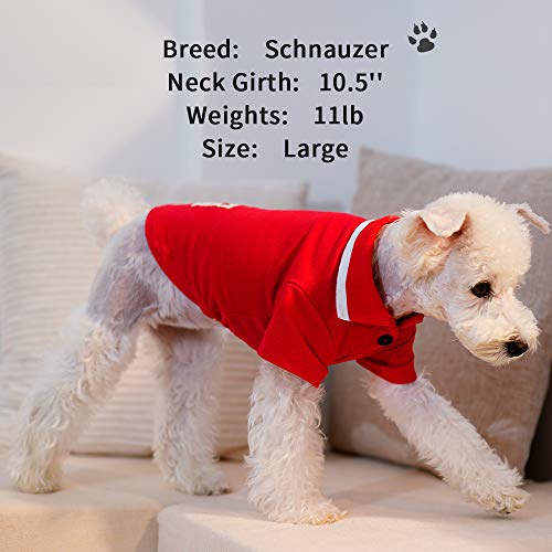Ispet Dog Shirts Solid Pet Dog Polo T Shirts Soft Cotton Outfit Apparel Doggie Casual Polo Shirt Cute Puppy Shirt For Small Medium Dogs Small, Red #TOP1
