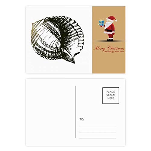 Cartes postales de Père Noël vie marine pour éviter les vœux banals