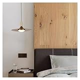 Ce lustre au style unique est doté d'un abat-jour noir et d'une base en laiton massif.