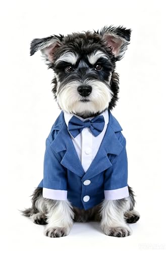 GabeFish Black, White, Blue Dog Shirts for Wedding, Puppy Tuxedo, Dog Formal Wear, Doggie Tux, Suit and Tie Costume Blue Large