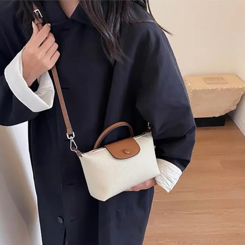 Fashion Women's Crossbody Bags, Small Crossbody Bags for Women, Trendy Large Capacity Ladies Crossbody Bag, Can Be Worn in Many Places,Get 2 Lint Rollers for free3