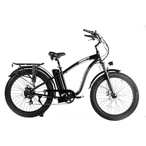 Soumye Beach Cruiser Electric Bicycle: 750W Brushless Motor, 48V/16Ah Removable Battery, Max speed 28 miles/Hour Step-Over/Step-Thru Frame, Use M5 Larger Size Display, SHIMANO 7 Gears Mountain e-Bike, 26”x4.0 Fat Tire Snow eBike For Adults