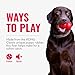 KONG Puppy Flyer - Soft Rubber Flyer Dog Toy - Flying Disc Dog Toy for Puppies - Gentle Rubber Toy for Growing Puppies - for Small Puppies - Randomly Provided Color