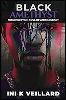 Black Amethyst: "Misconception Soul Of An Immigrant" 164826770X Book Cover