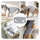 Anseom Hundebody Nach Op Hunde-Erholungsanzug Einteiler zur Genesung von Hunden Anti Lecken Hund Onesies Hunde-Genesungsanzug E-Halsband-Alternative für Hund Katzen Nach der Operation (Grau, XS)