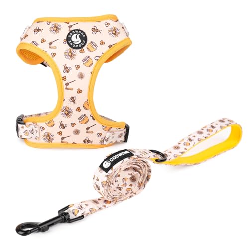 Puppia Soft Padded Dog Harness and Leash Set