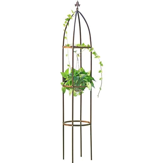 100% Metal Obelisk Garden Trellis 6.3 Feet Tall Sturdy Plant Support for Climbing Vines and Flowers Stands,1pc Upgrade (Bronze, Large)