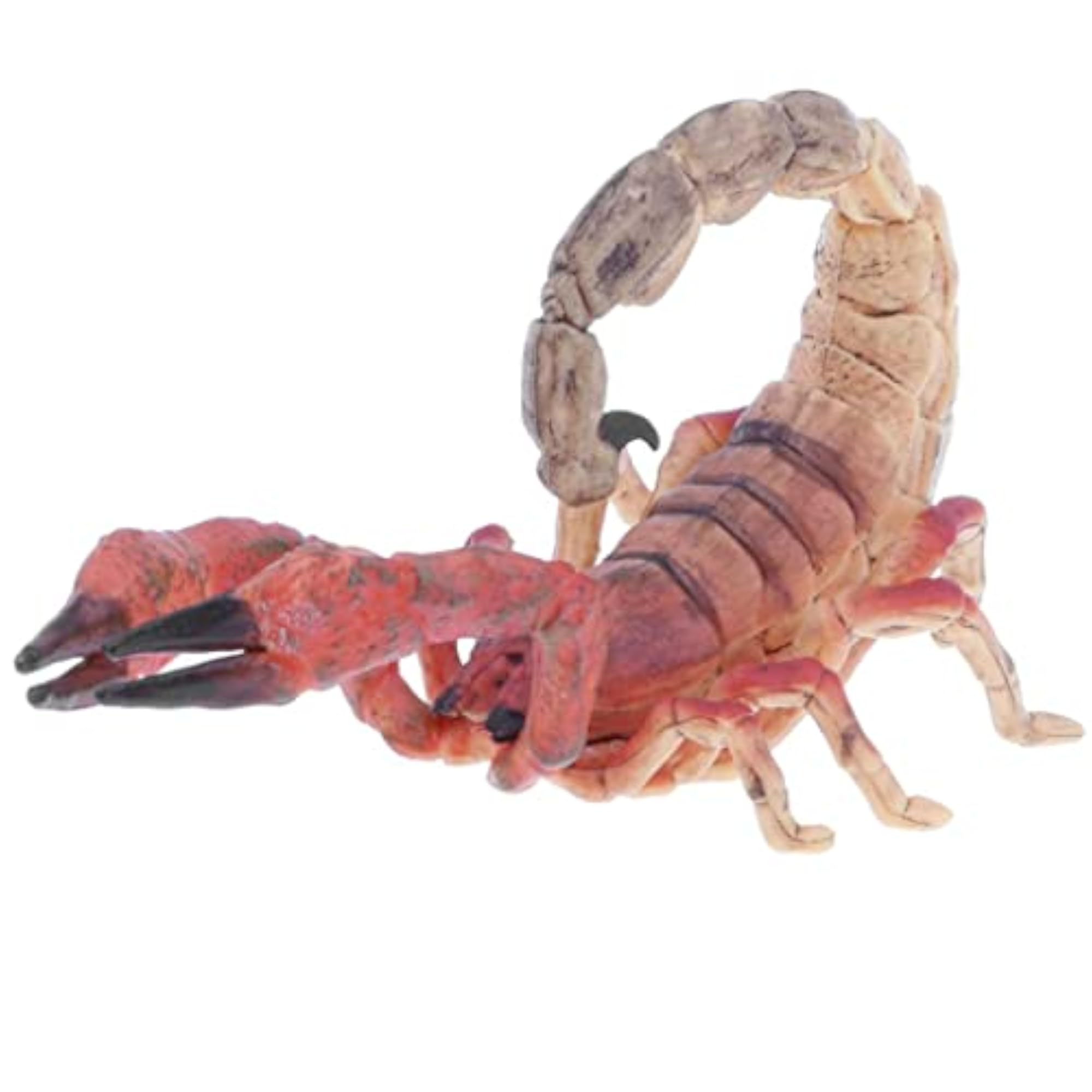 Plastic Scorpion Model Figure Toy for Kids, Home Decor