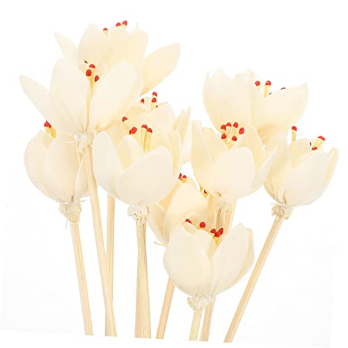 Garneck 10 piezas palitos difusores de aroma para ambiente miniatura 4