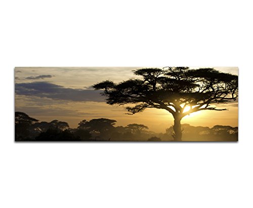 Image sur Toile et panoramique Châssis 150 x 50 cm Arbres Coucher de Soleil et Paysage Africain