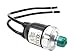 Pressure Switch - Sealed - 110 Psi On, 145 Psi Off, Model No. 90227