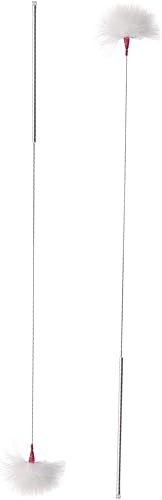 SUPVOX 2 unids Earpick con pluma de ganso cera de oído palo de limpieza removedor de cera de oído herramientas de limpieza