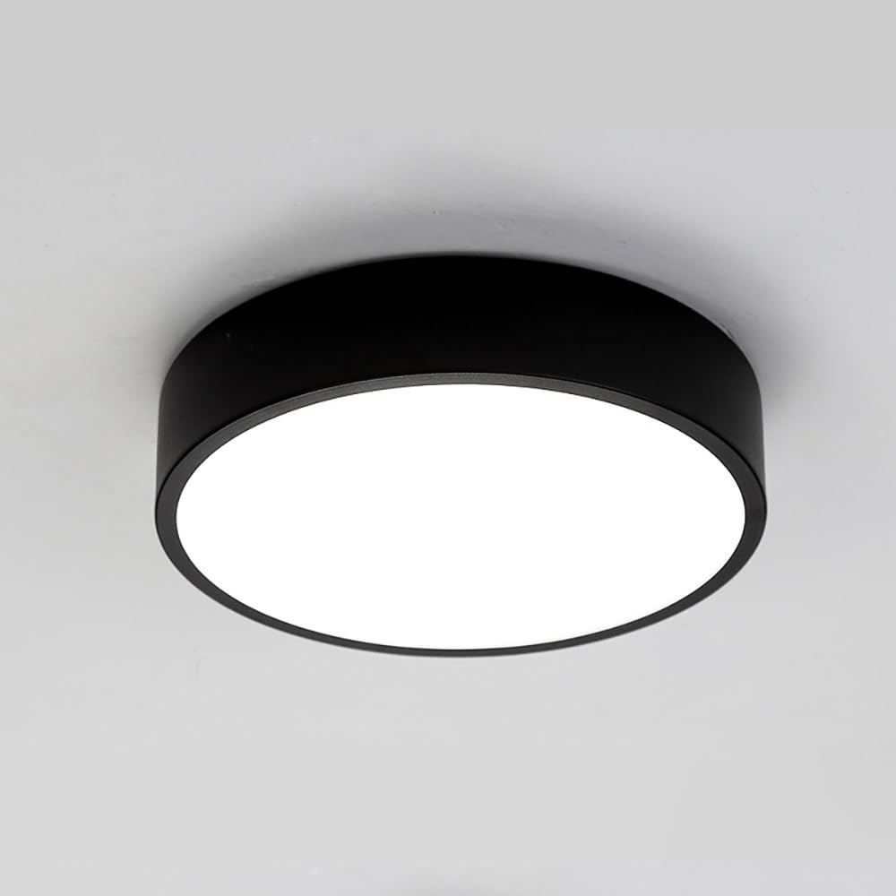 COSRUB Modern LED Ceiling Lamps, Round Small Flush Mount Ceiling Light Minimalist Dimmable Ceiling Lighting Fixture for Hallway Entryway Balconies(Black(6000k),30cm/11.81in)
