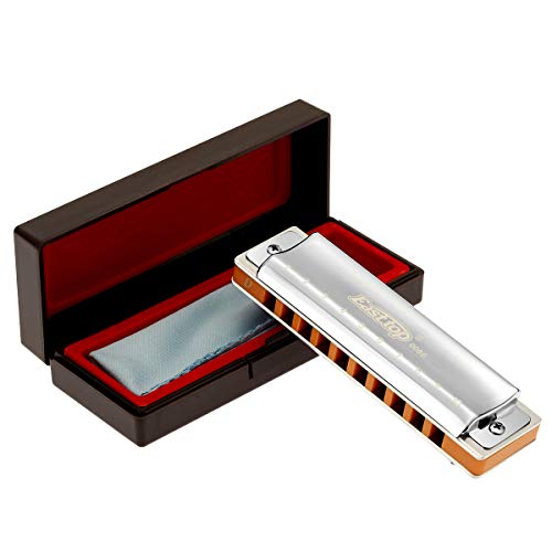 East top Harmonica, 10-Hole 20 Tones Professional Diatonic Blues Harmonica Key of D with Silver Cover Harmonicas For Professionals, Beginner, Students, Adults and Kids, as Best Gift