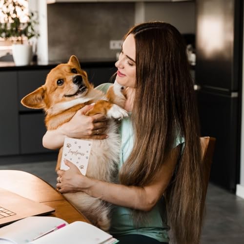 Wilhelm Fell Impfpasshülle für Tiere I Personalisierbar für deinen Hund I Persönliche Geschenkidee für Haustierbesitzer I Schutzhülle für den Impfpass für Haustiere (Pfote Beige)