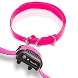 EveryPet Replacement Extra Collar Strap Band Buckle 3/4