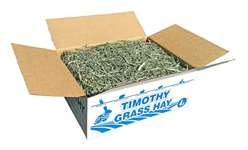 High Desert 2nd Cutting Timothy Grass Hay for Rabbits, Guinea Pigs, Chinchillas & Small Pets – Premium Hand-Packed Natural Hay, High-Fiber, Additive-Free, Grown in USA – 4 lb Box