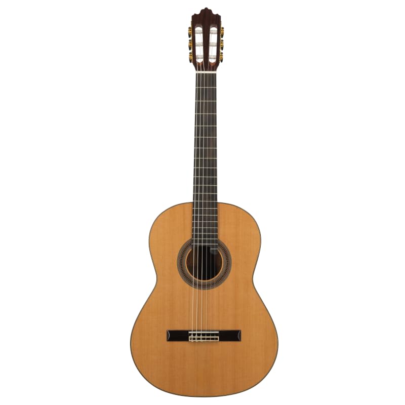 Prodipe 6 corde per chitarra classica (Soloist 900)