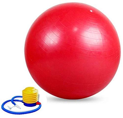 SONIQE Inflatable Gym Ball with Foot Pump for Total Body Fitness, Abdominal Toner (Red Colour) (B0846J5NKN) Amazon Price History, Amazon Price Tracker