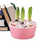 水耕栽培 ポット、三孔設計 ヒヤシンス 球根 水栽培セット、3穴ヒヤシンスプランター、専用水耕栽培プランター孔 花球根用ア鉢、観葉植物鉢対応 チューリップ ヒヤシンス 水仙 鉢植え花 えバスケット 育成用、ガーデナー、アパート、初心者、室内、窓辺、キッチン、リビングルーム、ベッドルーム、本棚、玄関用