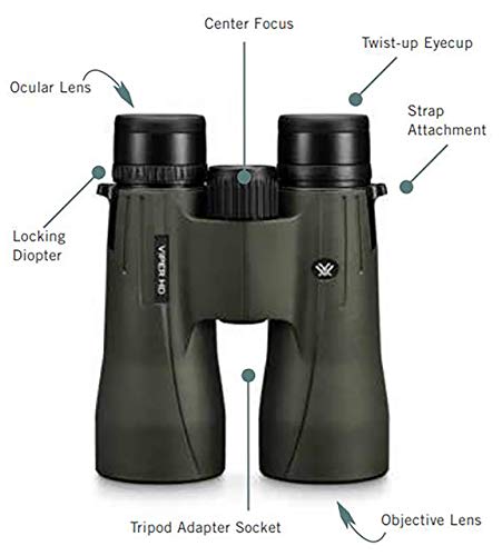 best vortex binoculars for hunting
