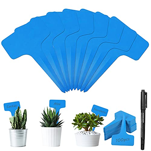 60 Pièces Étiquettes En Bois Pour Jardinage, Marqueurs Pour Plantes Et