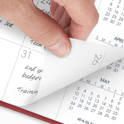 Image of AT-A-GLANCE 2026 Planner, Monthly, 15-Month, 9 inch x 11 inch, Large, Red (702501326)