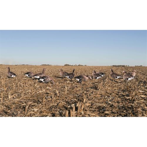 Avery Pro-Grade Silhouette Decoys Speckle Belly