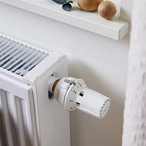 Danfoss RAW 5010, Thermostatischer Sensor mit flüssigkeitsgefülltem Thermostatbalg und eingebautem...