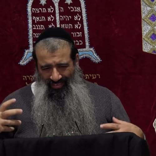 תומר דבורה 24 (35 בפועל)