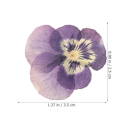 Flores secas prensadas naturales 36 pcs para manualidades miniatura 3