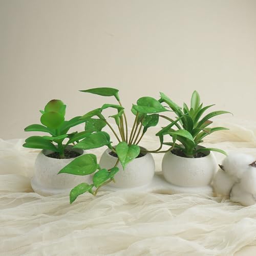 Airbirhom Artificial Succulents Plants Set,Faux Succulents in Pots,Assorted Small Succulent Artificial Indoor Decor for Desk,Shelf,Home,Office,Bathroom,Living Room - Cosy Home Interiors Airbirhom Artificial Succulents Plants Set,Faux Succulents in Pots,Assorted Small Succulent Artificial Indoor Decor for Desk,Shelf,Home,Office,Bathroom,Living Room - Image 6